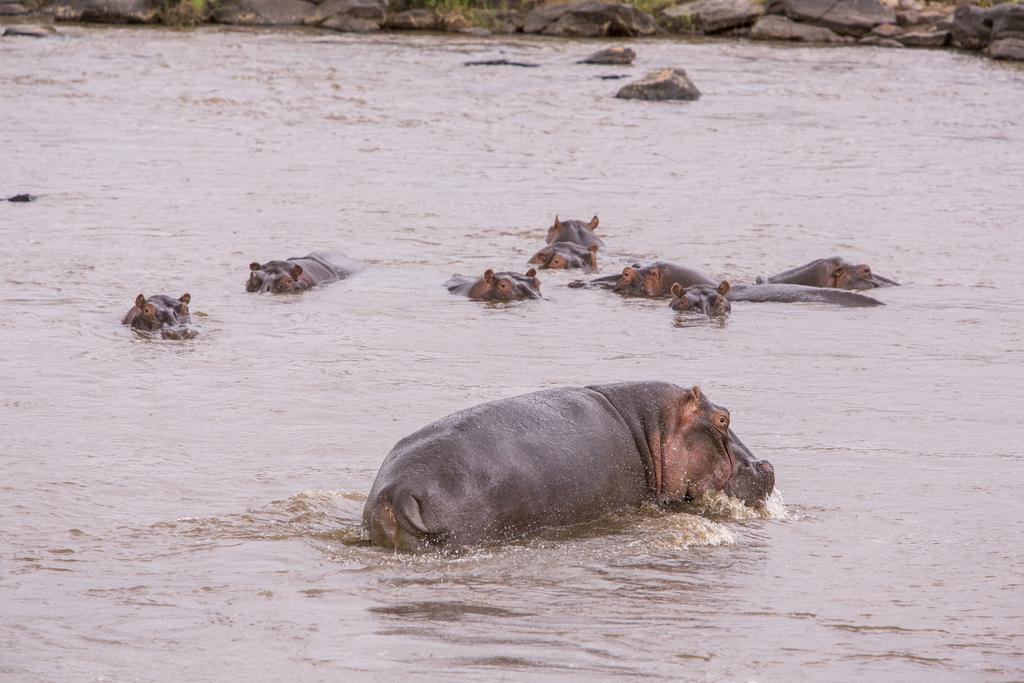 Mara Engai Lodge Lolgorien Zewnętrze zdjęcie