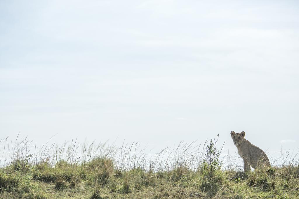 Mara Engai Lodge Lolgorien Zewnętrze zdjęcie