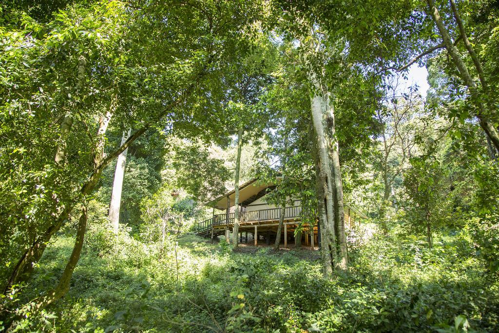 Mara Engai Lodge Lolgorien Zewnętrze zdjęcie